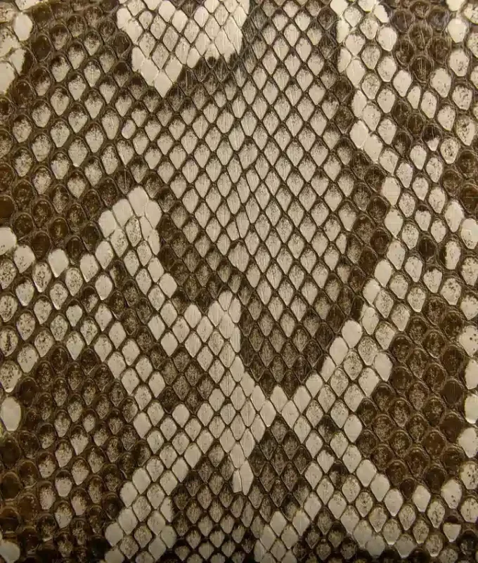 Knot Knot